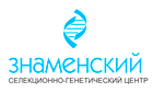 Знаменский СГЦ